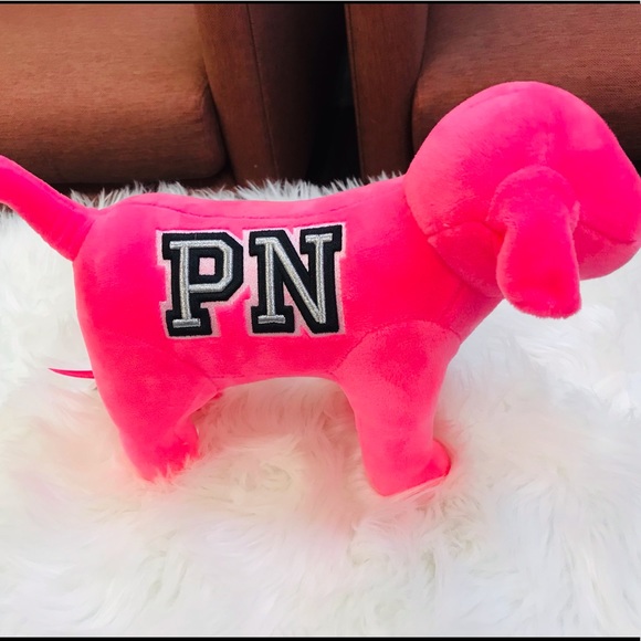 VS Pink Oversized Cozy Dog/Tote Set - Picture 2 of 7